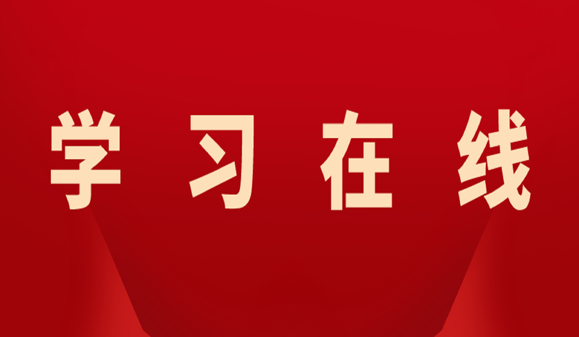 坚定不移推进高水平对外开放